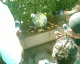 070922.mobilography_glasses copy_t.gif